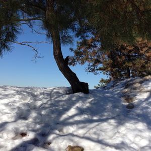 Meet your Posher, Hongyan